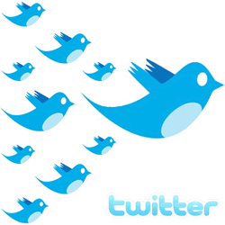 genezen Geniet een paar Vijf tips om meer volgers te krijgen op Twitter - Nederlandse Social Media  Academie